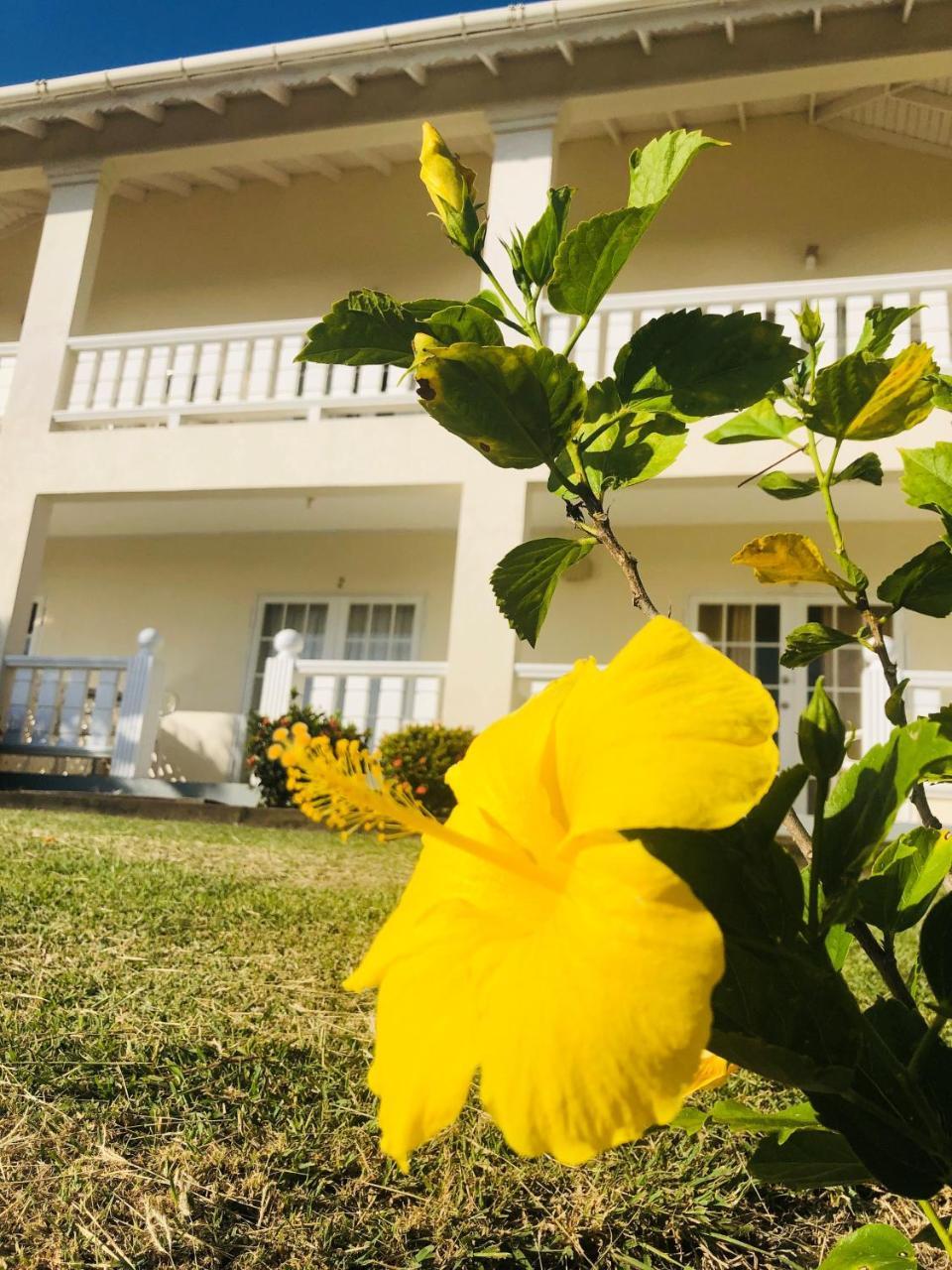 Rosewood Apartment Hotel Arnos Vale Екстер'єр фото